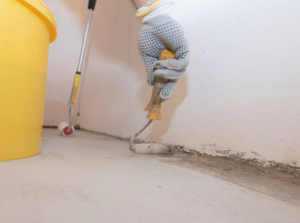 Best Termite Inspection and Treatment  in Mathews, VA